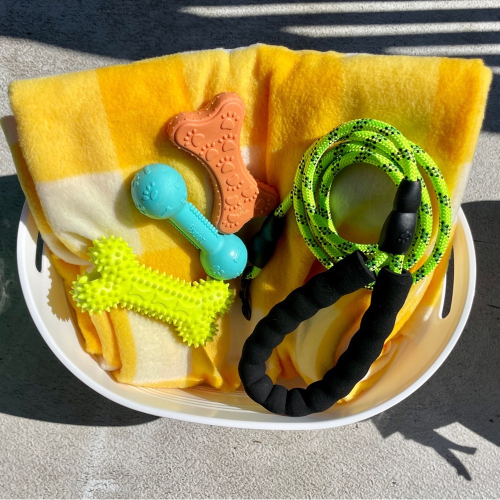 Brand New!🛍️Doggy Gift Bags & Baskets 🛍️ for your Fur-baby 🐾🐩